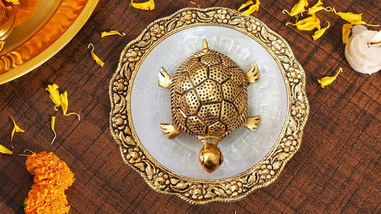 తాబేలు ఉంచడానికి ఉత్తమ రోజు: బుధ, గురు, శుక్రవారాలు ఇంట్లో తాబేలు విగ్రహాలను ఉంచేందుకు అనువైన రోజులుగా భావిస్తారు. హిందూ క్యాలెండర్ ప్రకారం శుభ సమయాన్ని ఎంచుకుని.. తాబేలు విగ్రహానికి  కుంకుమ లేదా పసుపు పువ్వులను సమర్పించండి. ప్రతిరోజూ తాబేలు విగ్రహంపై ఒక తులసి దళాన్ని ఉంచడం శుభసూచకం.