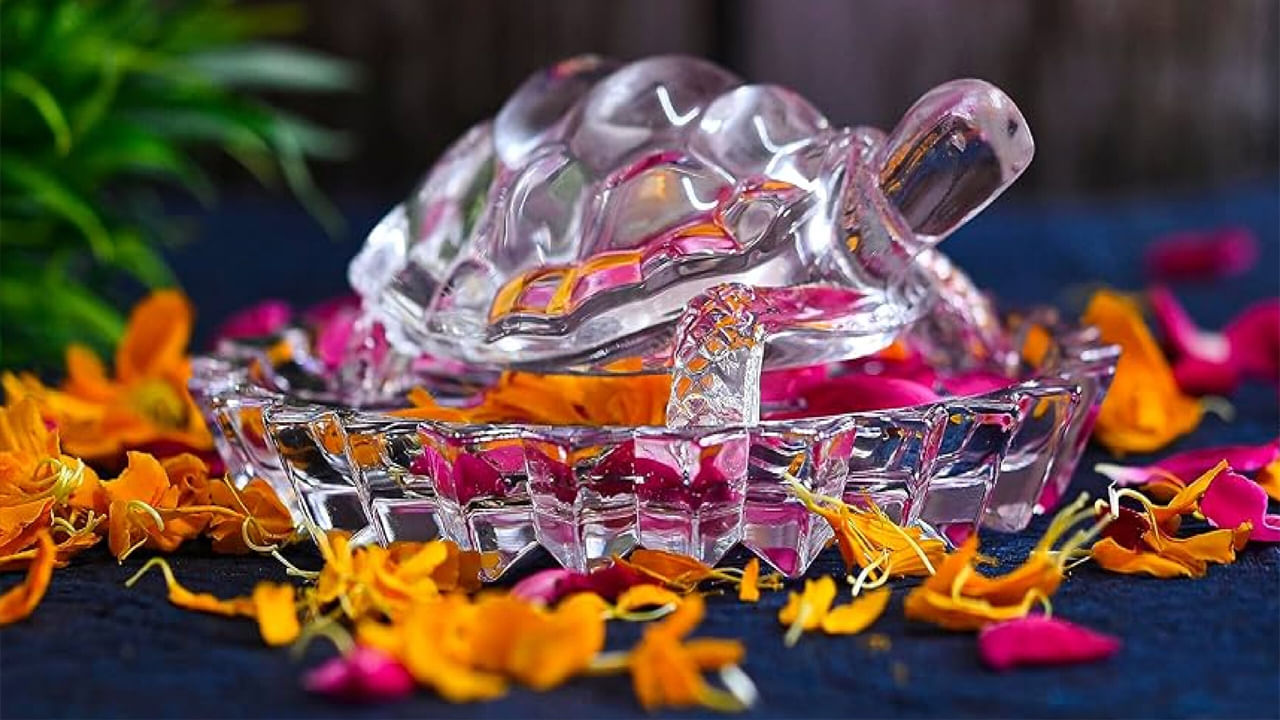 Tortoise Vastu Tips