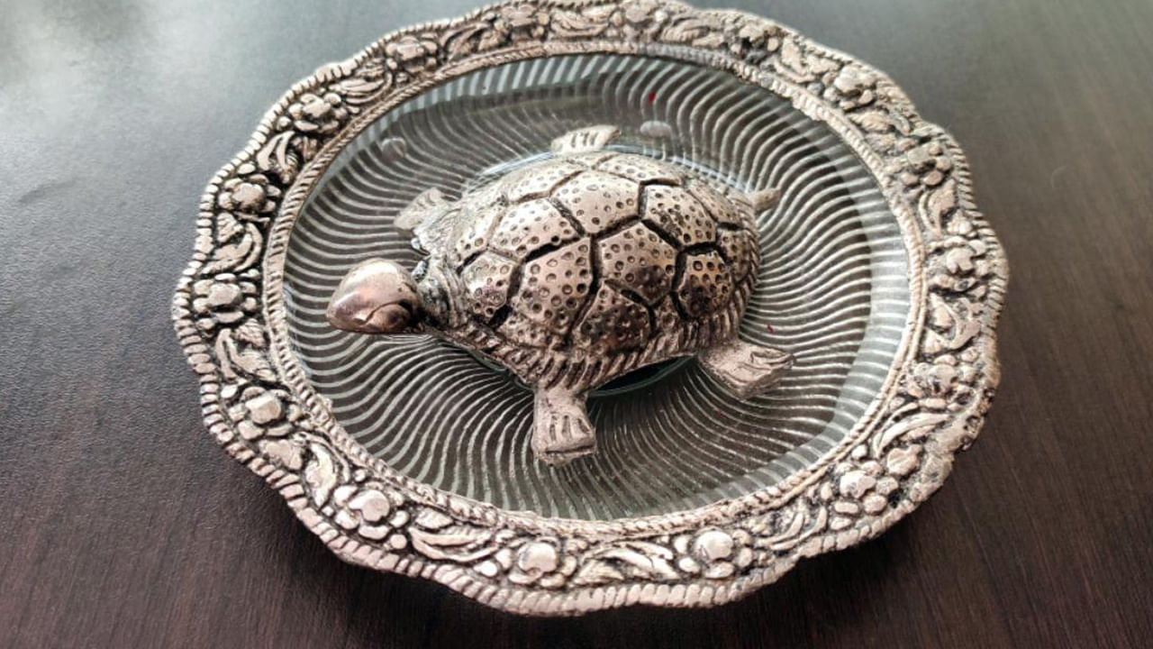 Tortoise Vastu Tips