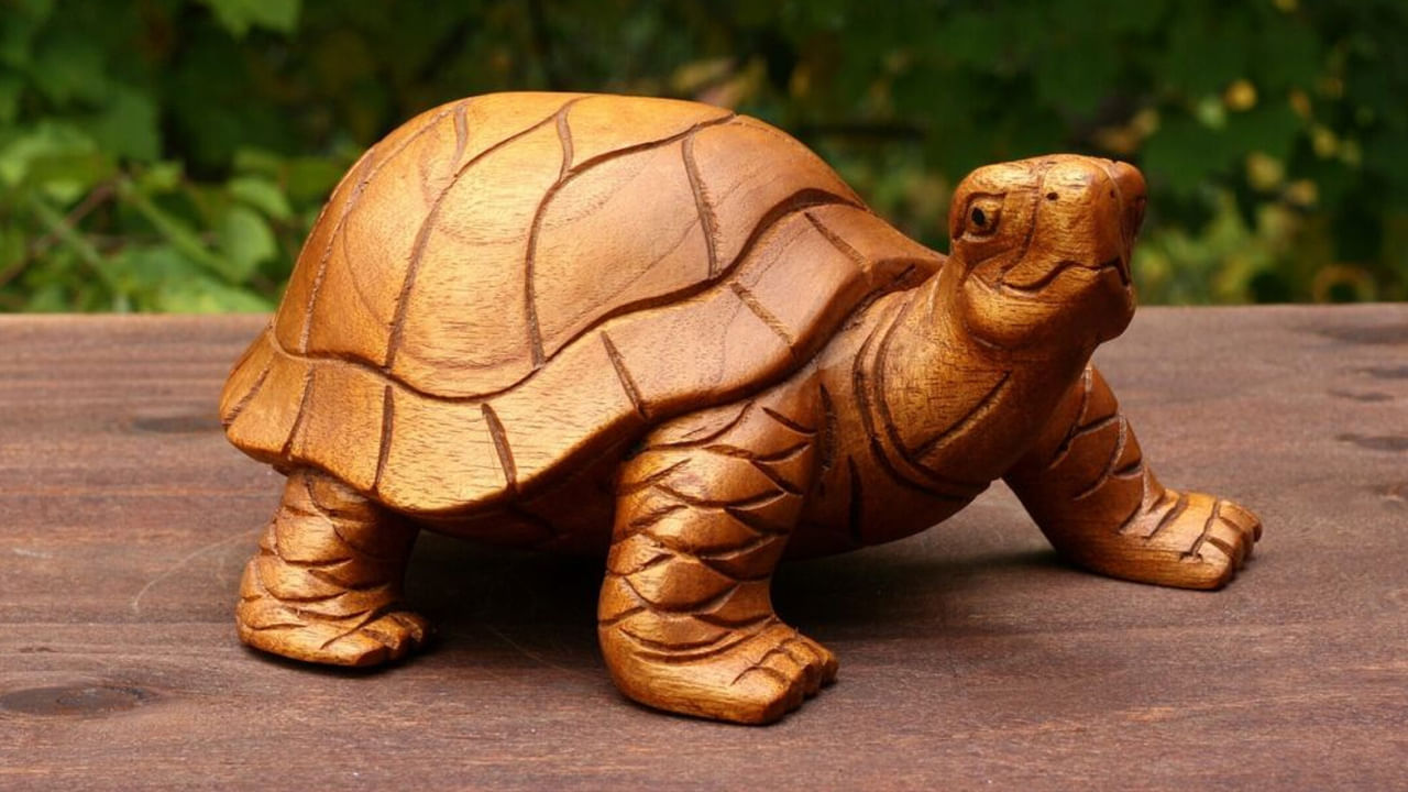 Tortoise Vastu Tips