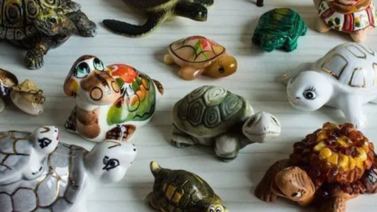 Tortoise Vastu Tips