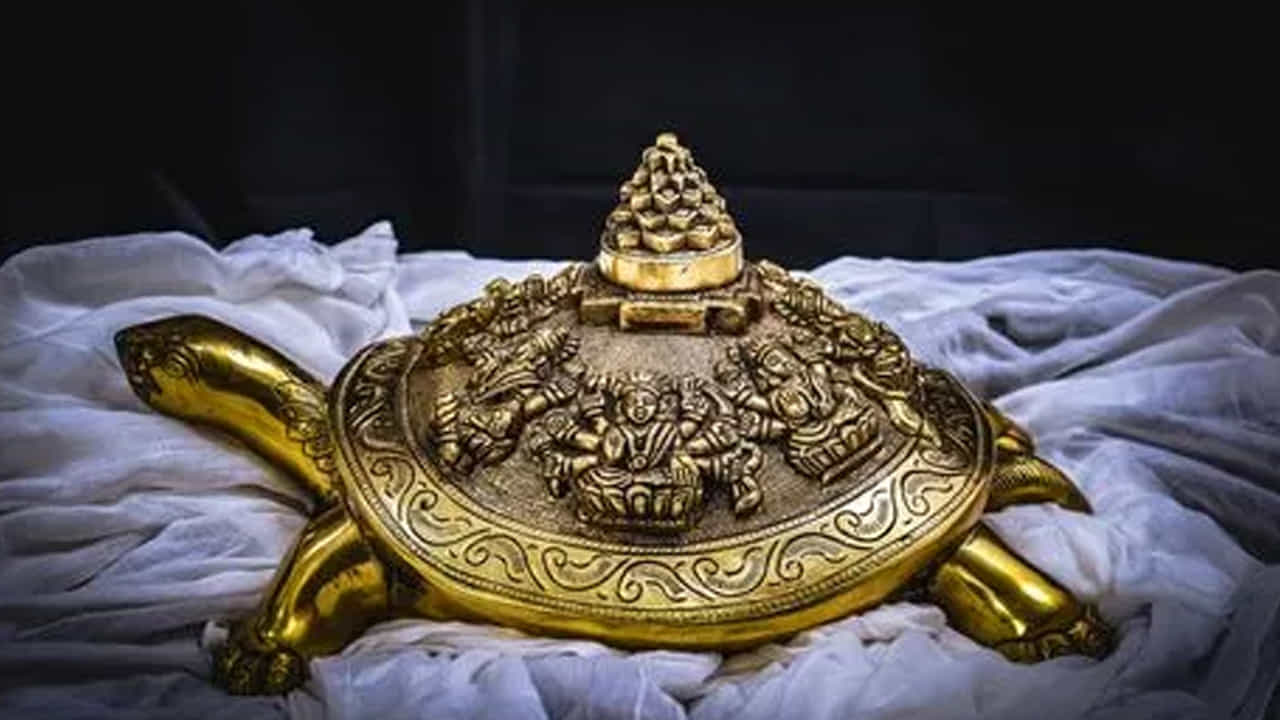 లోహం తాబేలు: మెటల్ తాబేలు సంపదను సూచిస్తుంది.  కెరీర్ వృద్ధిని కోరుకుంటే మెటల్ తాబేలునుఆఫీసులో ఉంచడం మంచిది. కెరీర్‌లో పురోగతి సాధించాలనుకుంటే.. ఉత్తర దిశలో తాబేలును ఉంచడం మంచిది. 