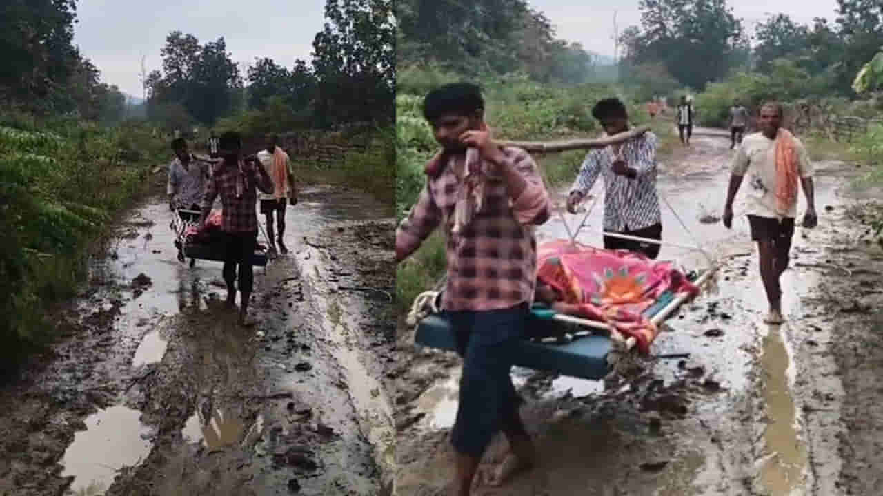 Telangana: అడవి తల్లి సాక్షిగా.. కారడవిలో నిండు గర్భిణీ ప్రసవ వేదన!