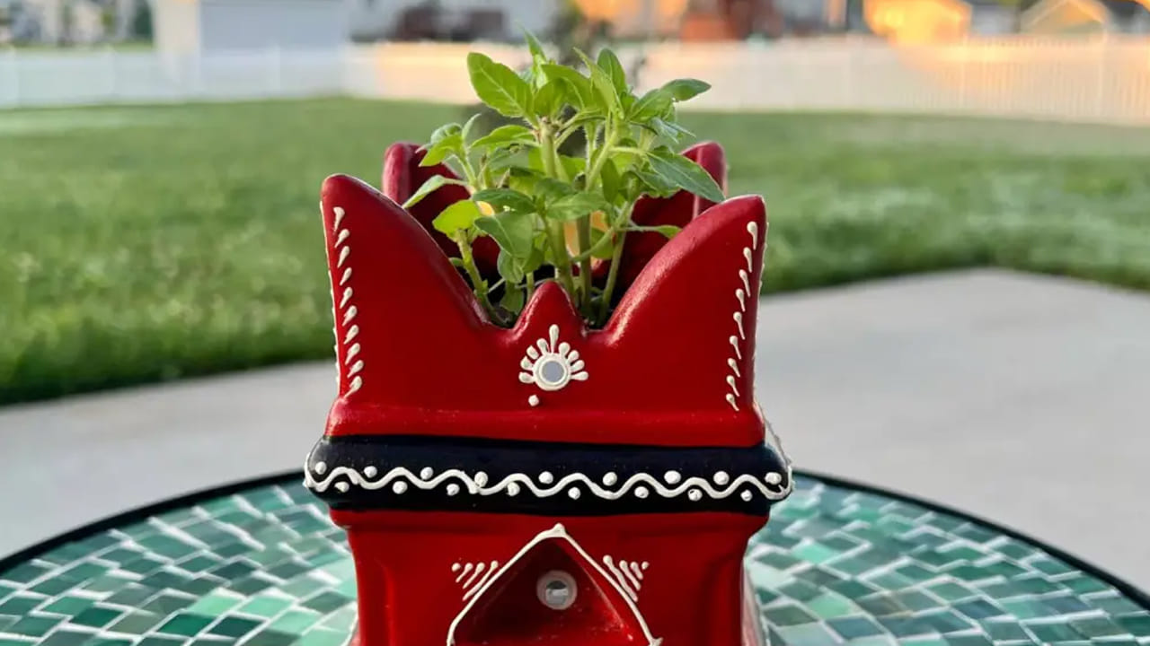 వాస్తు శాస్త్రం ప్రకారం, తులసి మొక్కను తూర్పు దిశలోఉంచాలని చెబుతున్నారు. దీని వల్ల శుభప్రదమైన ఫలితాలొస్తాయని నమ్ముతారు. ఒకవేళ మీ ఇంట్లో తూర్పు దిశలో తులసి మొక్క నాటేందుకు స్థానం లేకపోతే ఉత్తరం లేదా ఈశాన్య దిక్కులలో కూడా పెంచుకోవచ్చునని చెబుతున్నారు. ఈ దిక్కుల్లో తులసిని నాటడం వల్ల ఇంట్లోకి సానుకూల శక్తి ప్రవహిస్తుంది. దీంతో పాటు లక్ష్మీదేవి అనుగ్రహం కూడా మీపై ఎల్లప్పుడూ ఉంటుంది.