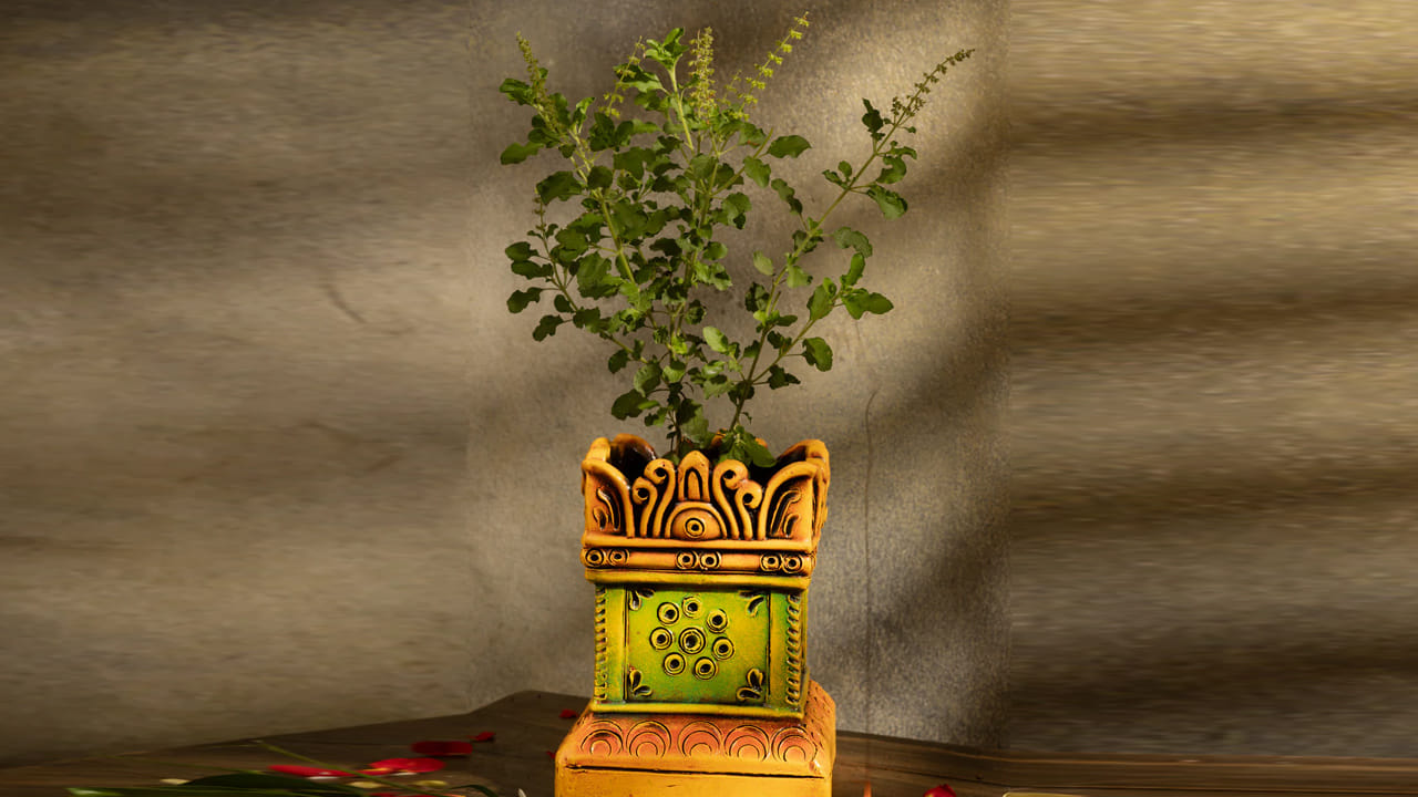 తులసిని నిత్యం పూజించి, సాయంత్రం నెయ్యి దీపం వెలిగిస్తే, లక్ష్మీదేవి ప్రసన్నుడై ఫలితాలను ఇస్తుందని నమ్మకం. అలాగే, తులసి మొక్క పైన ఉండే విత్తనాలు క్రమం తప్పకుండా తీసి జాగ్రత్త చేస్తూ ఉండాలి. అప్పుడే తులసి మొక్క చక్కగా నిటారుగా పెరుగుతుంది. అయితే మంగళ శుక్రవారాల్లో తులసి దళాలు కోయకూడదు. మిగిలిన రోజుల్లో తులసి దళాలను కోసి పూజలో సమర్పించాలని చెబుతున్నారు.