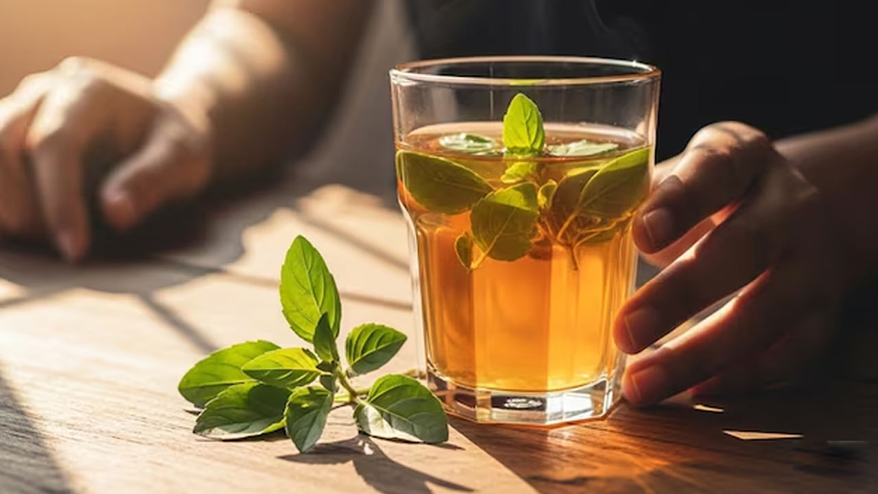 Tulsi Water 4