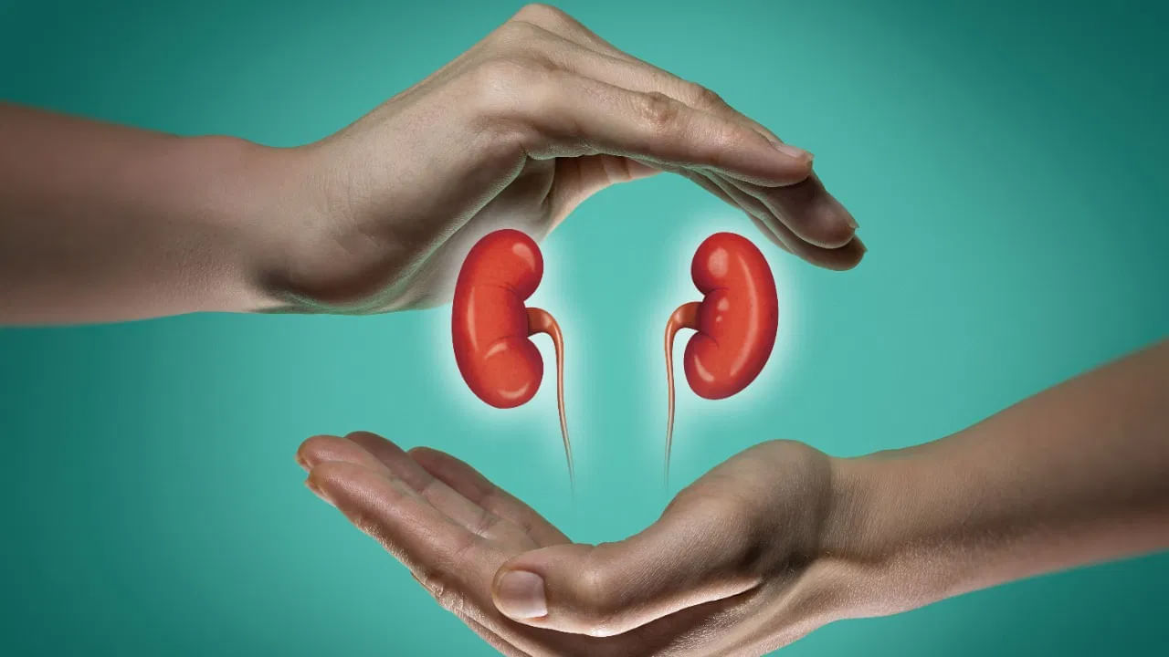 Health Tips: కిడ్నీ సమస్యలు ఉన్నవారు పసుపు తీసుకుంటే ఏమవుతుందో తెలుసా.? మీరు ఊహించలేరు – Telugu News | How Turmeric’s Curcumin Can Boost Kidney Function, You Must Know These Things