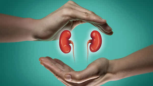 Health Tips: కిడ్నీ సమస్యలు ఉన్నవారు పసుపు తీసుకుంటే ఏమవుతుందో తెలుసా.? మీరు ఊహించలేరు