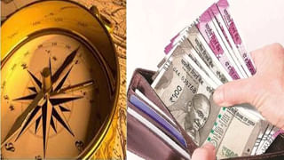 Navaratri 2025: నవరాత్రుల్లో అమ్మవారికి ఈ పువ్వు సమర్పించండి.. దుర్గమ్మ ఆశీస్సులతో ఇంట్లో లక్ష్మి తిష్టవేసుకుంటుంది..