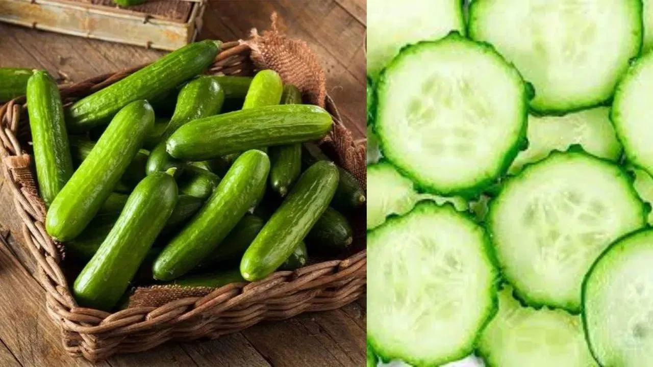 దాదాపు అందరూ దోసకాయలను ఫ్రిజ్లో ఉంచుతారు. అయితే దోసకాయలను ఫ్రిజ్లో ఉంచక పోవడమే మంచిది. 10 డిగ్రీల సెల్సియస్ కంటే తక్కువ ఉష్ణోగ్రత వద్ద దోసకాయలు ఉంటే త్వరగా చెడిపోవడం ప్రారంభిస్తాయి. అందుకే దోసకాయలను ఫ్రిజ్లో ఉంచకూడదు.