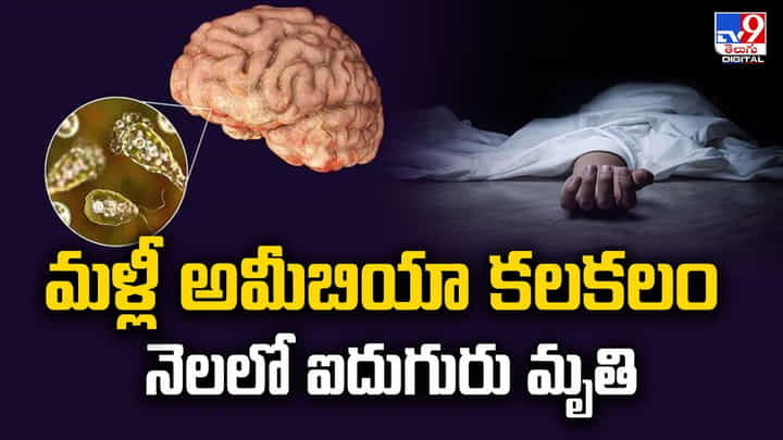 మళ్లీ అమీబియా కలకలం.. నెలలో ఐదుగురు మృతి వీడియో మళ్లీ అమీబియా కలకలం.. నెలలో ఐదుగురు మృతి వీడియో