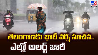 Alum Benefits: దంతాలు, చర్మ సమస్యలకు పటికతో చెక్ పెట్టండి.. ఎలా ఉపయోగించాలంటే