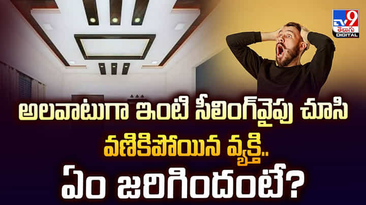 అలవాటుగా ఇంటి సీలింగ్వైపు చూసి వణికిపోయిన వ్యక్తి.. ఏం జరిగిందంటే?వీడియో అలవాటుగా ఇంటి సీలింగ్వైపు చూసి వణికిపోయిన వ్యక్తి.. ఏం జరిగిందంటే?వీడియో
