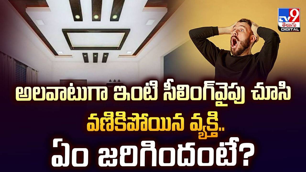 అలవాటుగా ఇంటి సీలింగ్‌వైపు చూసి వణికిపోయిన వ్యక్తి.. ఏం జరిగిందంటే?వీడియో