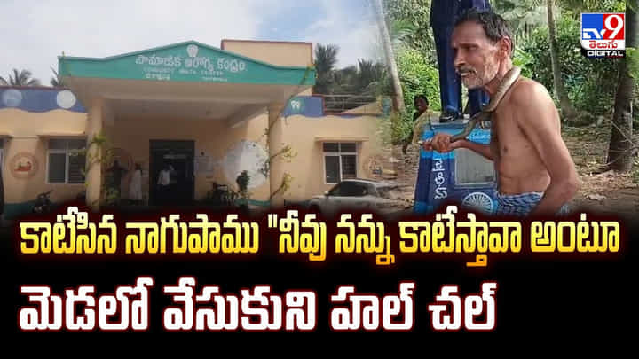 నన్నే కాటు వేస్తావా.. పామును తాత ఏం చేశాడంటే? వీడియో నన్నే కాటు వేస్తావా.. పామును తాత ఏం చేశాడంటే? వీడియో