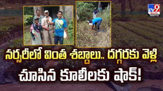 పెళ్లిళ్లు ఆపేసిన మేకలు, గొర్రెలు.. కారణం ఇదే