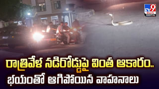 తురకపాలెంలో అంతుచిక్కని మరణాలపై మంత్రి సత్యకుమార్ రియాక్షన్ వీడియో