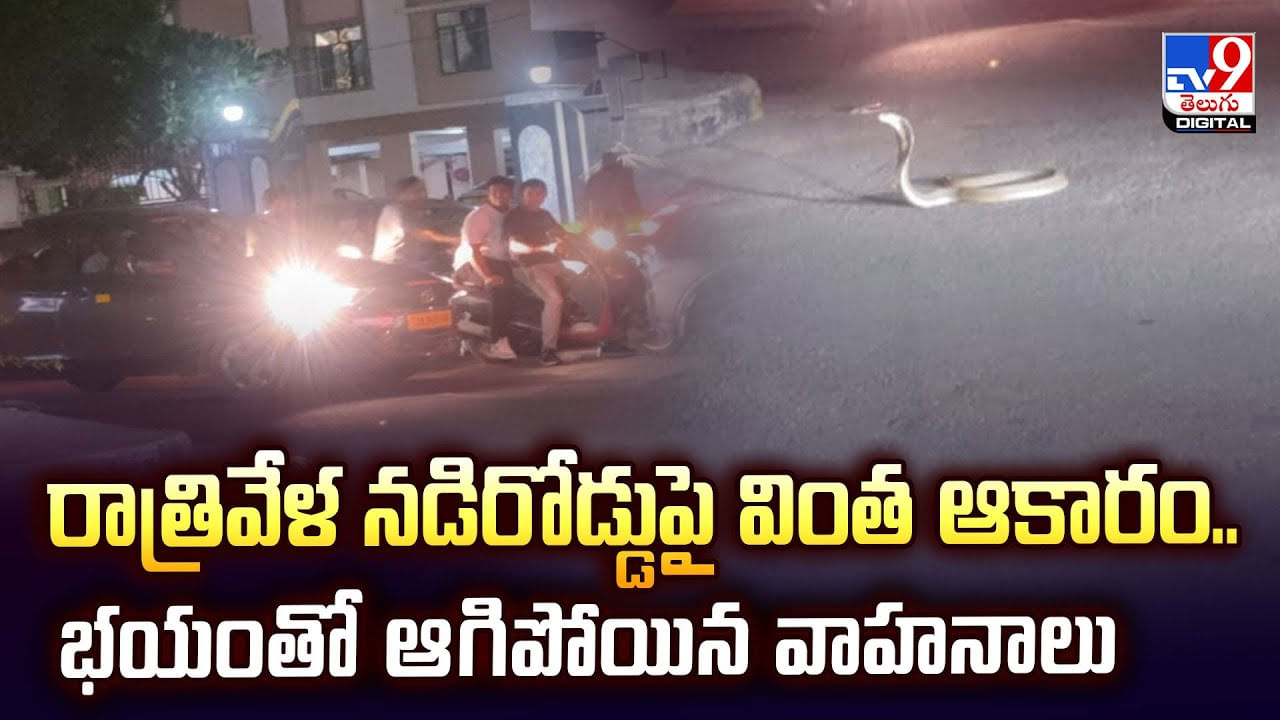 రాత్రివేళ నడిరోడ్డుపై వింత ఆకారం..భయంతో ఆగిపోయిన వాహనాలు వీడియో