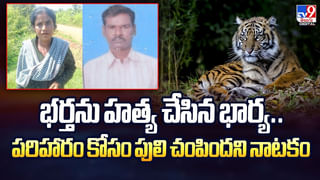 నేపాల్‌లో హోటల్‌కు నిప్పు.. భారత మహిళ మృతి వీడియో