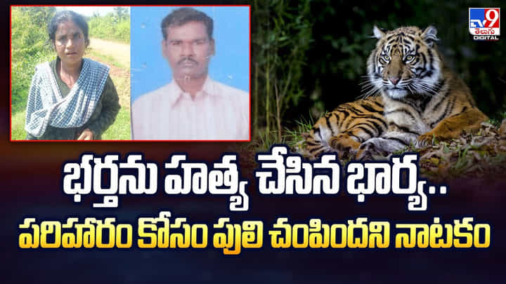 భర్తను హత్య చేసి.. పరిహారం కోసం.. పులి చంపిందని.. వీడియో భర్తను హత్య చేసి.. పరిహారం కోసం.. పులి చంపిందని.. వీడియో