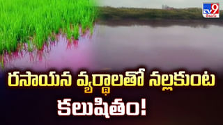 హైదరాబాద్‌లో ఈడీ అధికారుల సోదాలు వీడియో