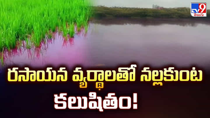 రసాయన వ్యర్థాలతో నల్లకుంట కలుషితం వీడియో రసాయన వ్యర్థాలతో నల్లకుంట కలుషితం వీడియో