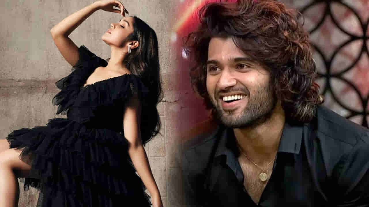Vijay Deverakonda: విజయ్ దేవరకొండ నా సెలబ్రెటీ క్రష్.. యంగ్ హీరోయిన్ ఇంట్రెస్టింగ్ కామెంట్స్..