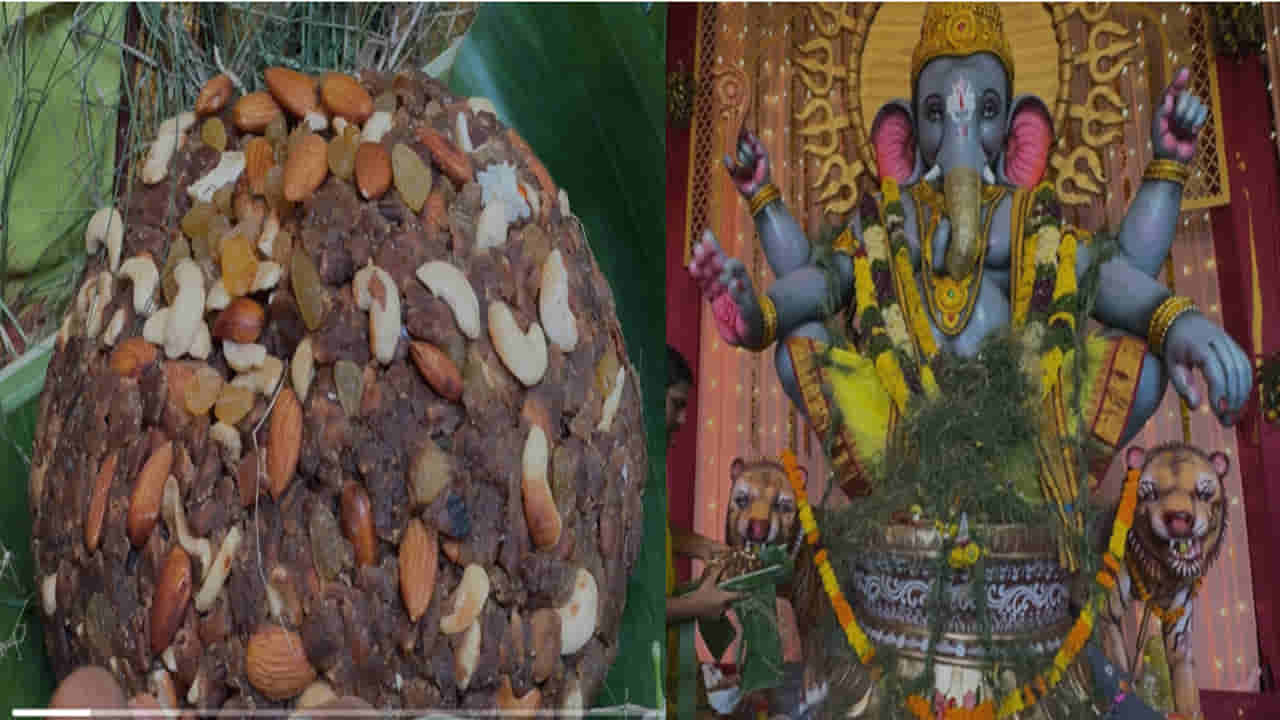 Ganesh Chaturthi: గణపయ్యకు 10 కేజీల విప్ప పువ్వు లడ్డూ.. మొక్కు చెల్లించుకున్న భక్తుడు