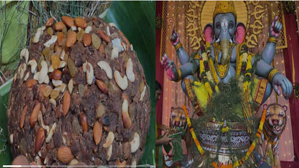 Ganesh Chaturthi: గణపయ్యకు 10 కేజీల విప్ప పువ్వు లడ్డూ.. మొక్కు చెల్లించుకున్న భక్తుడు