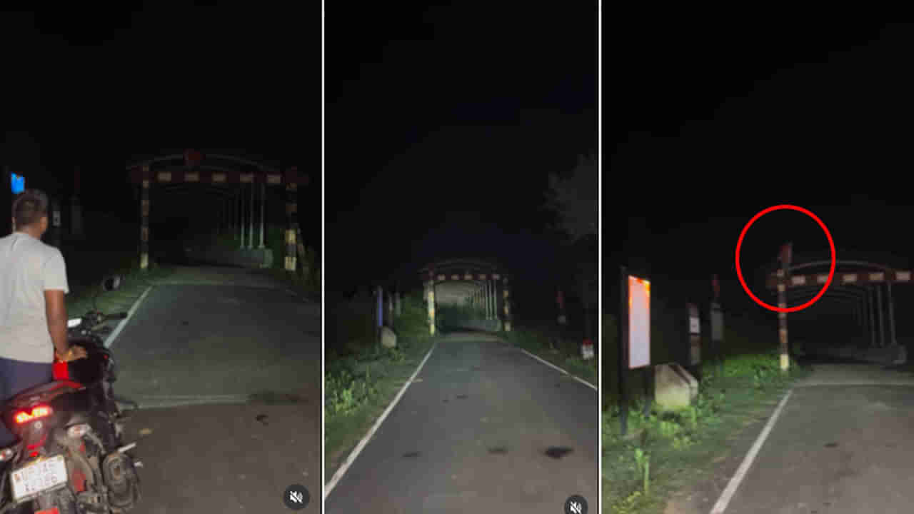 చిమ్మచీకట్లో వింత శబ్దాలు.. బైక్‌పై వెళ్తుండగా ఎదురుగా కనిపించింది చూసి.. పరుగో పరుగు..