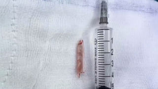 Viral: కరెంట్ బిల్లు చూసి అతగాడి కళ్లు బైర్లు కమ్మాయ్.. ఎంతొచ్చిందో తెలిస్తే బిత్తరపోతారు