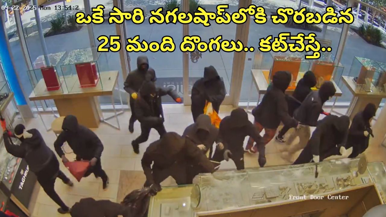 Watch Video: ఒకేసారి జ్యువెలరీషాప్‌లోకి చొరబడిన 25 మంది దొంగలు.. సీన్‌ కట్‌చేస్తే.. ఇది పరిస్థితి..