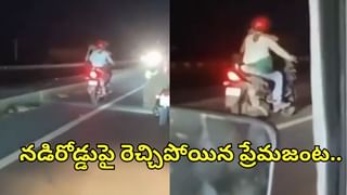 నాకు తెలుసు మావ..! నీకున్న బలుపు..!! పామును పనిమాలా గెలికిన పిల్లి.. తర్వాత ఏం జరిగిందంటే