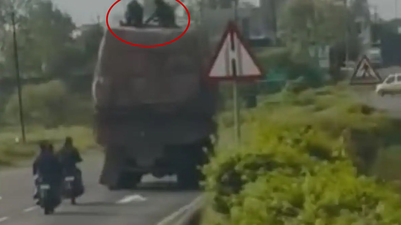 Watch Video: సినిమా లెవెల్ సీన్.. రన్నింగ్ లారీలోంచి వస్తువులు ఎలా కొట్టేస్తున్నారో చూడండి!