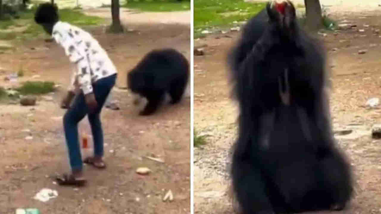 Watch Video: ఓర్నీ రీల్స్‌ పిచ్చి తగలెయ్యా.. ఎలుగుబంటికి కూల్‌డ్రింక్‌ ఇచ్చేందుకు వెళ్లిన యువకుడు.. కట్‌చేస్తే