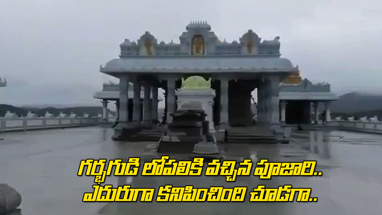 Vizag: గర్భగుడిని కడుగుదామని లోపలికి వచ్చిన పూజారి.. ఎదురుగా కనిపించింది చూడగా Vizag: గర్భగుడిని కడుగుదామని లోపలికి వచ్చిన పూజారి.. ఎదురుగా కనిపించింది చూడగా