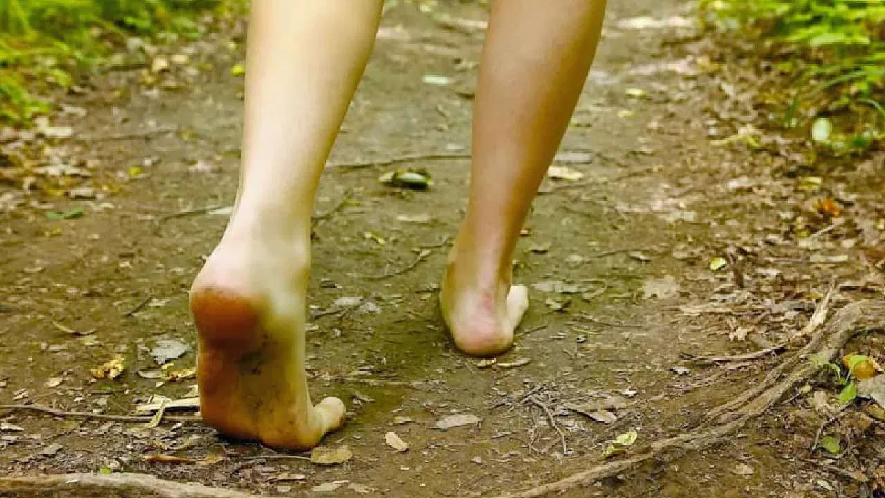 చెప్పులు లేకుండా నడవడం వల్ల జీర్ణవ్యవస్థ మెరుగుపడుతుంది. అలాగే మూత్రపిండాలు, కాలేయం వంటి అంతర్గత అవయవాల పనితీరు కూడా మెరుగవుతుంది. దీనివల్ల మొత్తం శరీరం సమతుల్యంగా ఉంటుంది. ఆధునిక జీవనశైలిలో సర్వసాధారణమైన నిద్ర సమస్యలకు ఇది ఒక మంచి పరిష్కారం. ప్రతిరోజూ కనీసం 30 నిమిషాలు గడ్డిపై నడిస్తే శరీరానికి విశ్రాంతి లభించి, గాఢమైన నిద్ర పడుతుంది.