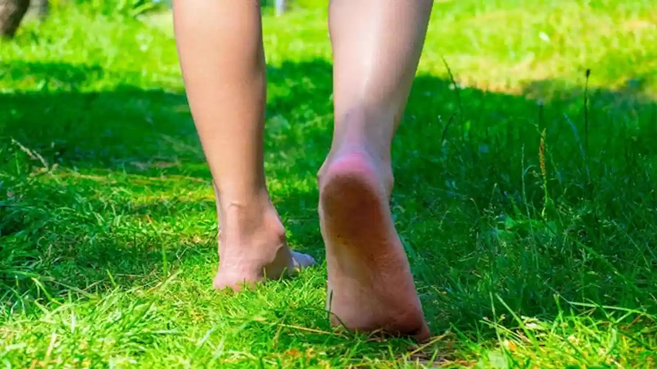 తడి గడ్డిపై చెప్పులు లేకుండా నడవడం ఒక సహజ చికిత్స లాంటిది. మన శరీరంలో పేరుకుపోయిన స్థిర విద్యుత్ నేల ద్వారా విడుదలవుతుందని ఆయుర్వేదం, ఆధునిక శాస్త్రం రెండూ చెబుతున్నాయి. అదనపు విద్యుత్ శక్తి విడుదలైనప్పుడు మనసు ప్రశాంతంగా మారి.. ఒత్తిడి తగ్గుతుంది. దీంతో నిద్ర నాణ్యత పెరుగుతుంది. అలాగే రక్త ప్రవాహాన్ని పెంచుతుంది.