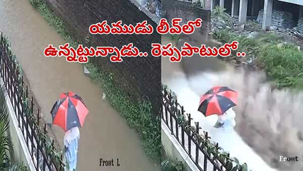 Watch Video: శివుని ఆజ్ఞ లేనిదే చీమైనా కుట్టదు.. వీడియో చూస్తే మీరూ అవుననే అంటారు..!