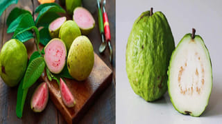 Weight Loss Diet: మీరు వెయిట్‌ లాస్‌ అవ్వాలనుకుంటున్నారా?.. ఈ ఫుడ్స్‌ జోలికి అస్సలు వెళ్లకండి!