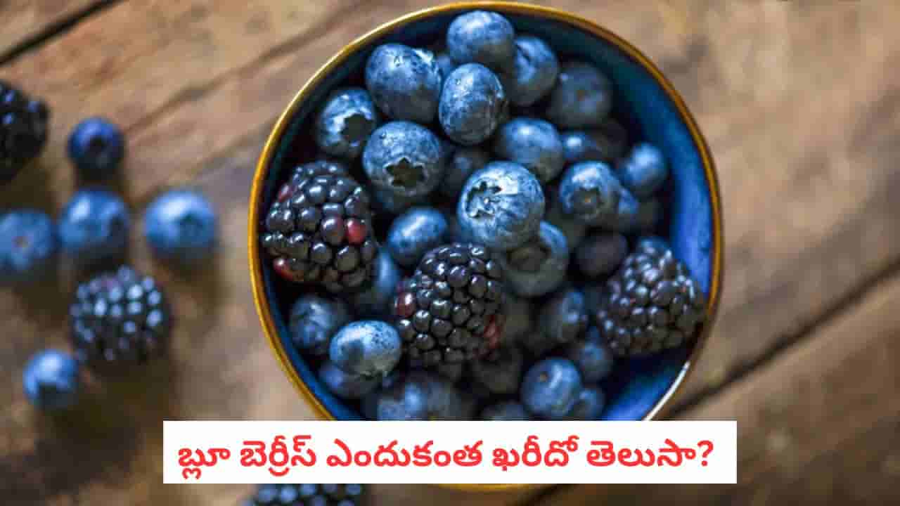 Blueberry: బ్లూ బెర్రీస్ ఎందుకంత ఖరీదు? వీటి ధరల వెనుక అసలు కారణాలివే
