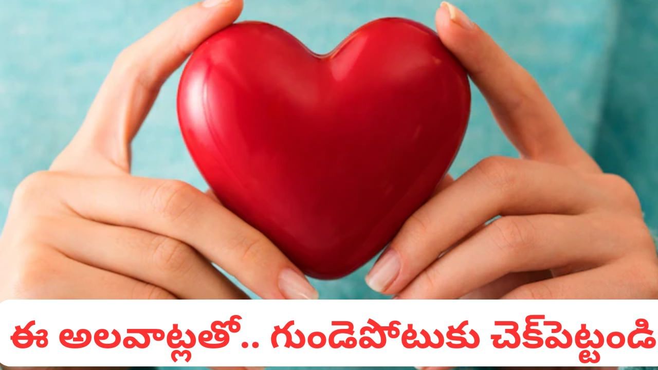 Heart Attack: గుండెపోటుకు చెక్పెట్టే అద్భుతమైన చిట్కాలు.. మహిళలు ముఖ్యంగా మీకోసమే! Heart Attack: గుండెపోటుకు చెక్పెట్టే అద్భుతమైన చిట్కాలు.. మహిళలు ముఖ్యంగా మీకోసమే!