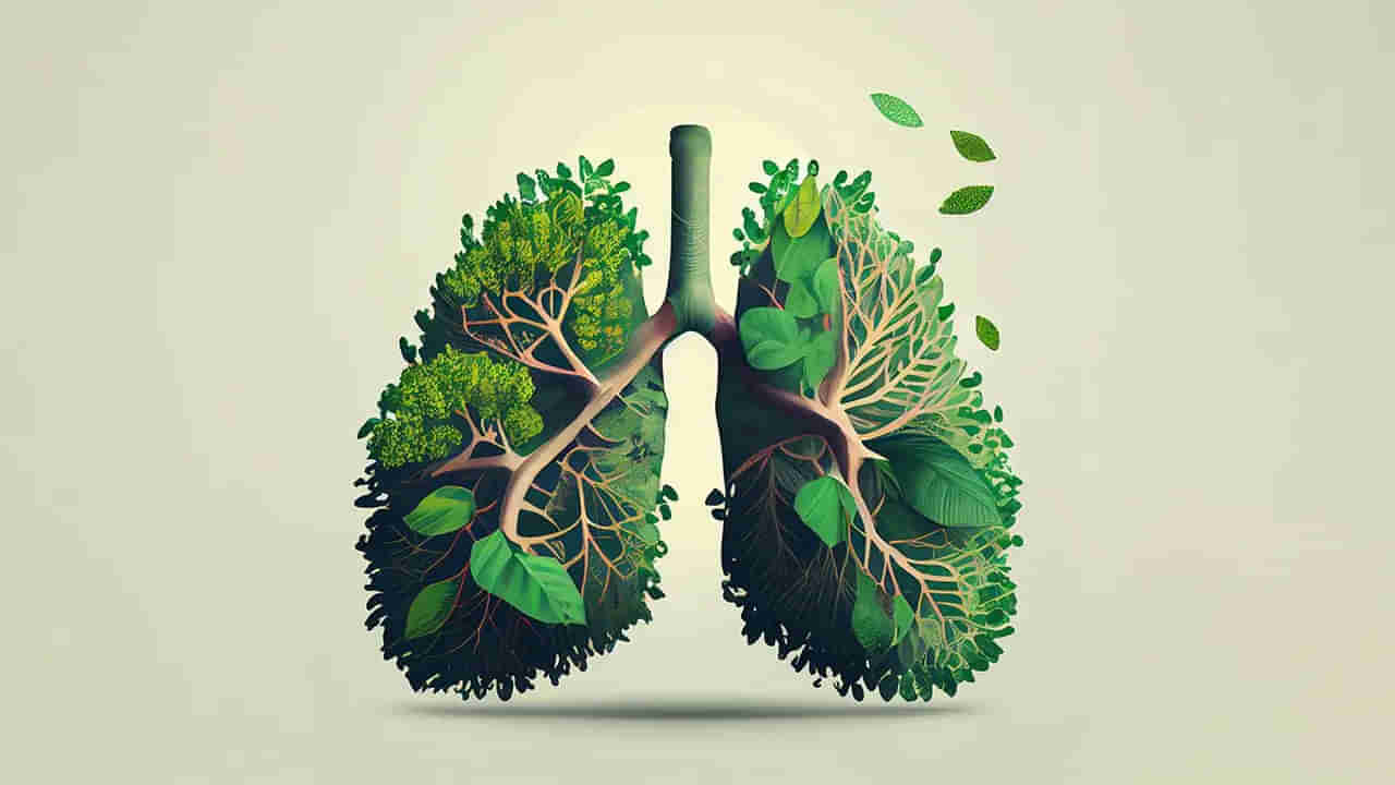 World Lung Day 2025: ఈ లక్షణాలు కనిపిస్తే ఊపిరి తిత్తులు డేంజర్ లో ఉన్నట్లే.. నిర్లక్షం వద్దు సుమా..