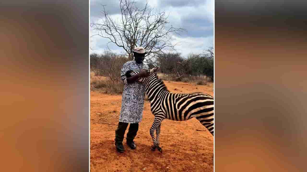 Watch: పిల్ల జీబ్రా ప్రేమ చూస్తే ఫిదా అవ్వాల్సిందే..! నెట్టింట వీడియో వైరల్