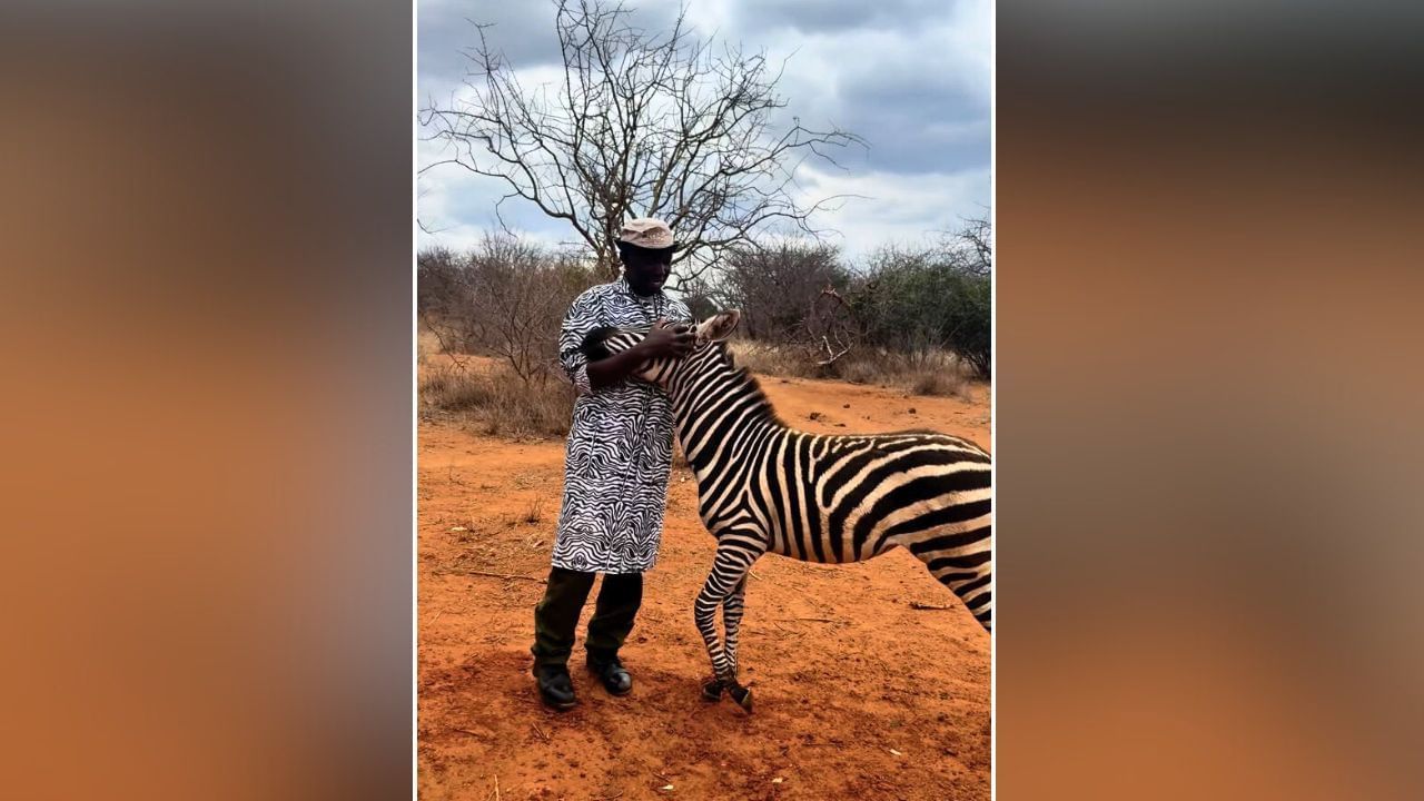 Watch: పిల్ల జీబ్రా ప్రేమ చూస్తే ఫిదా అవ్వాల్సిందే..! నెట్టింట వీడియో వైరల్
