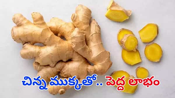 Benefits of Ginger: చిటికెడు అల్లంతో ఆ పది సమస్యలకు చెక్.. రోజూ తింటే వాటికి చూమంత్రి వేసినట్టే