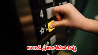 రాత్రి ఒంటరిగా కనిపించిన మహిళ.. మృగంలా ప్రవర్తించిన ట్రక్కు డ్రైవర్‌.. వీడియో చూస్తే రక్తం మరగాల్సిందే