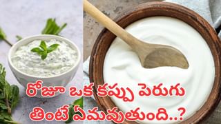 Mango Leaf Tea: మామిడి ఆకుల టీ.. మెదడు ఆరోగ్యానికి బెస్ట్ మెడిసిన్.. ఎలా తాగాలంటే