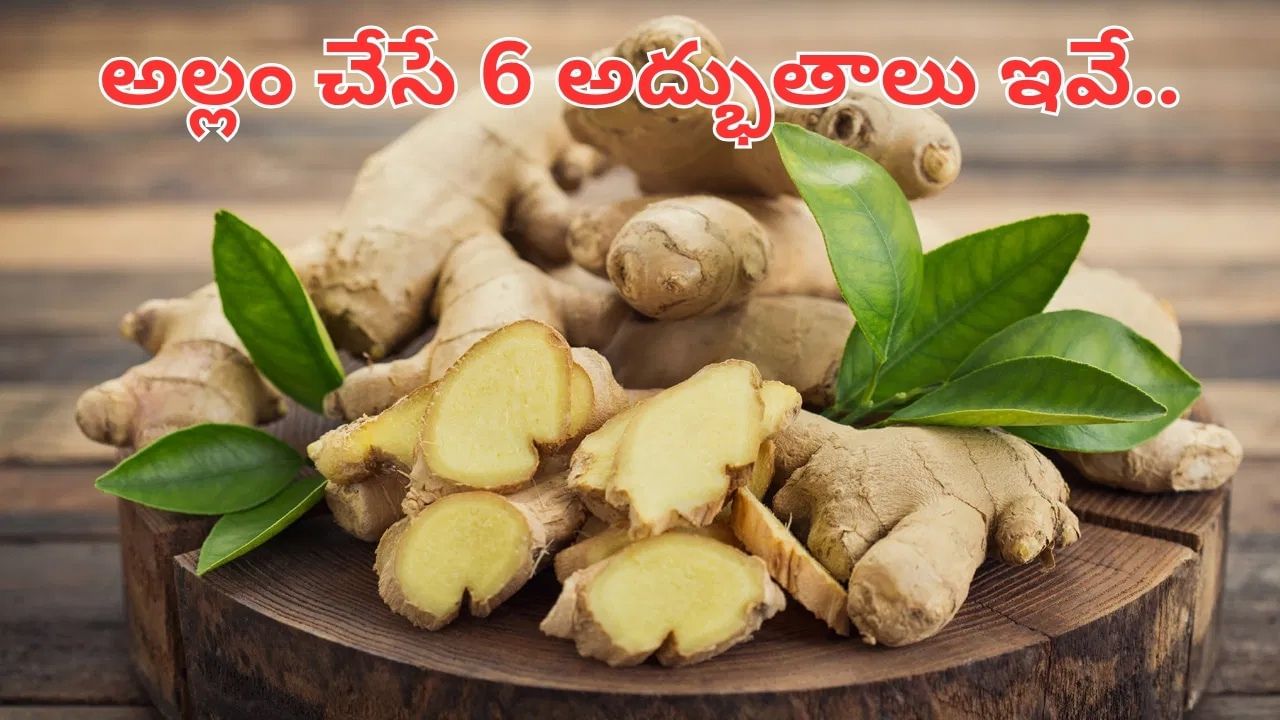 Ginger: అల్లం చేసే ఈ 6 అద్భుతాల గురించి తెలుసా..? తప్పక తెలుసుకోండి.. – Telugu News | 6 Amazing Health Benefits of Ginger, Natural Cure for Period Pain and Bad Cholesterol