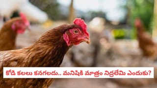 మనిషి శరీరంలో అత్యంత సున్నితమైన అవయవం ఏదో తెలుసా..? చాలా కేర్‌ తీసుకోవాలట..!